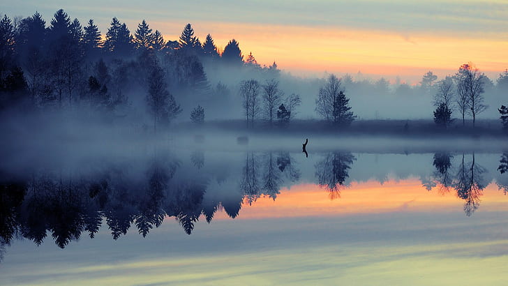 lago, foresta, natura, tramonto, nebbia, paesaggio, Sfondo HD