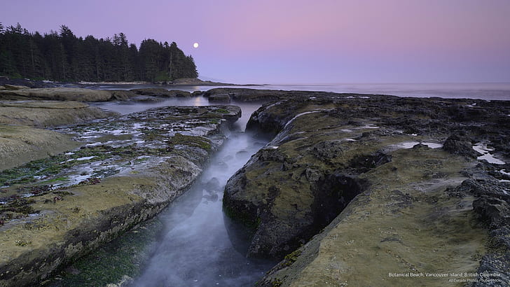 Botanisk strand, Vancouver Island, British Columbia, Nordamerika, HD tapet