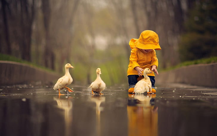 People, childhood, rain, children, cubs, goose, play, funny, people, childhood, rain, children, cubs, goose, play, funny, HD wallpaper