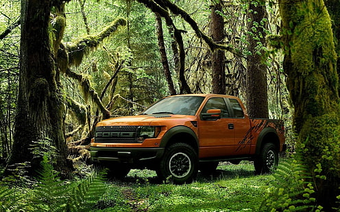 Pomarańczowa ciężarówka typu pickup Ford z pojedynczą kabiną, Ford Raptor, Tapety HD HD wallpaper