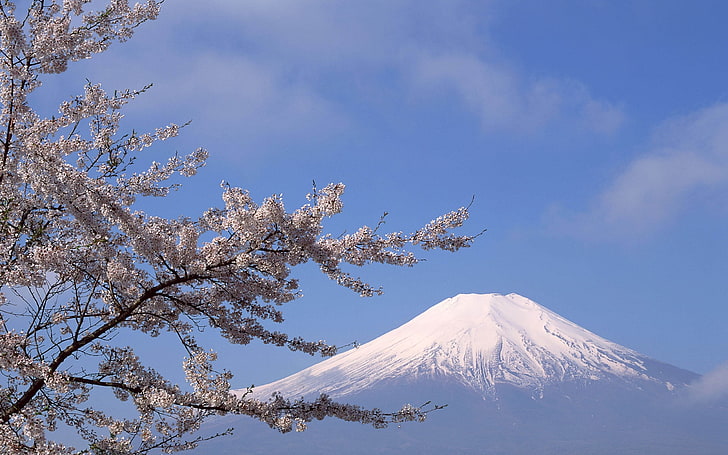 Mt. Fuji, Japan, nature, mountains, HD wallpaper