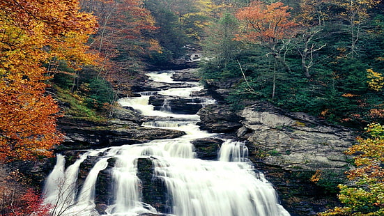 الخريف ، كارولينا ، الألوان ، الغابات ، الرمادي ، الأخضر ، المناظر الطبيعية ، الطبيعة ، الشمال ، المنحدرات ، الأحمر ، الأنهار ، الصخور ، الأشجار ، المياه ، الشلالات ، الأبيض ، الأصفر، خلفية HD HD wallpaper