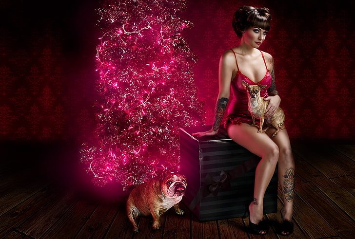 Frauen rote Spaghetti Top, Hunde, Mädchen, Urlaub, Box, Geschenk, Leinen, Neujahr, Weihnachten, Fichte, Tattoo, Bulldogge, Girlande, HD-Hintergrundbild