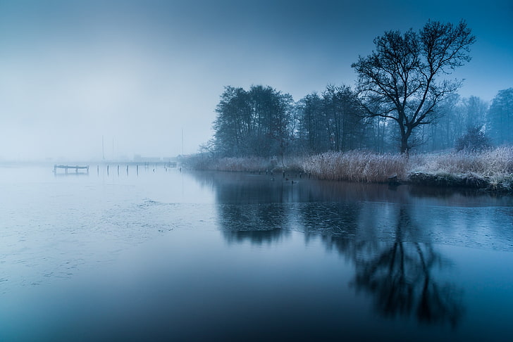 body of water, water, trees, frozen lake, mist, cold, nature, blue, lake, HD wallpaper