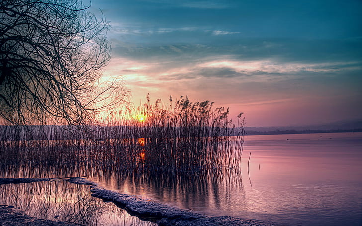 Twilight beautiful landscape, quiet lake, reed, sunset, Twilight, Beautiful, Landscape, Quiet, Lake, Reed, Sunset, HD wallpaper