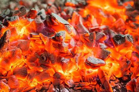 brûler du charbon de bois, feu, charbon, brûler, Fond d'écran HD HD wallpaper