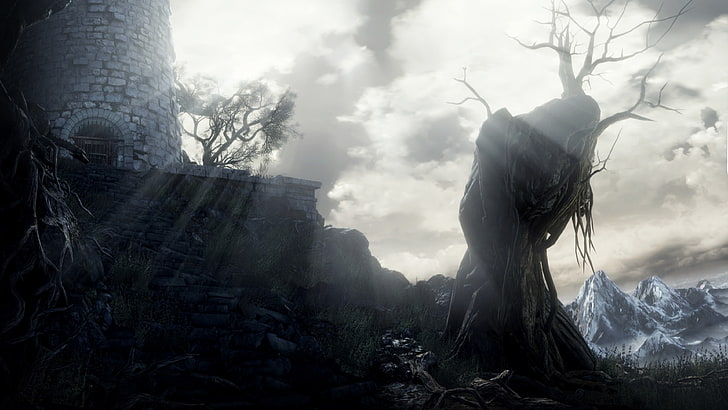 tapeta uschniętego drzewa, Dark Souls III, gry wideo, zrzut ekranu, Dark Souls, Tapety HD