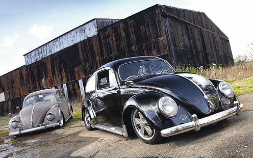 voitures volkswagen volkswagen beetle 1680x1050 Animaux Bugs HD Art, voitures, Volkswagen, Fond d'écran HD HD wallpaper