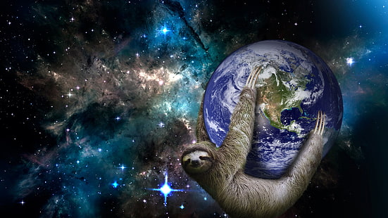 sloths, space, HD wallpaper HD wallpaper
