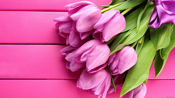 flores, 4K, tulipas, HD papel de parede