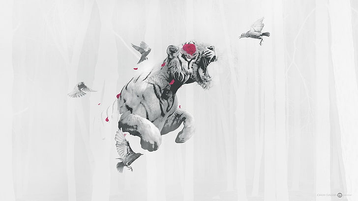 tiger illustration, tiger, birds, rose, HD wallpaper