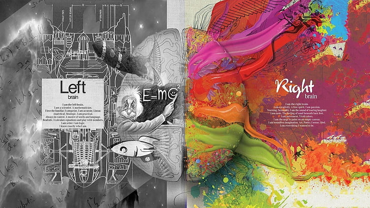 grayscale and multicolored artwork, brain, knowledge, splitting, diagrams, painting, selective coloring, HD wallpaper