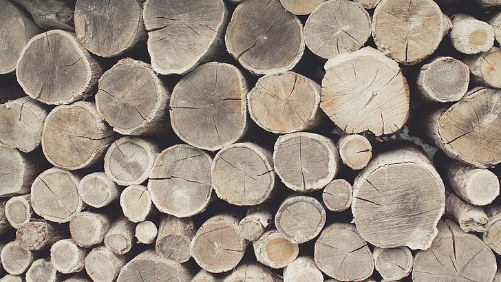 brown cut logs, simple background, KTM, HD wallpaper