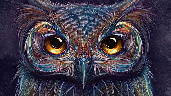 owl, colorful, artist, artwork, digital art, hd, 4k, 5k, HD wallpaper HD wallpaper