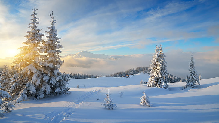 snötäckta tallar, vinter, skog, himlen, solen, moln, strålar, snö, landskap, berg, kullar, stigar, skönhet, åt, sluttning, by, vacker, topp, snön, skuggor, hus, träd, stig, fabulously, frost och soldag är underbar, HD tapet