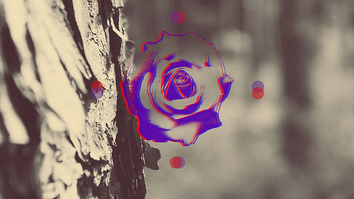 lila Blütenblatt Blumentapete, abstrakt, Anaglyphe 3D, Rose, HD-Hintergrundbild