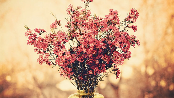 bunga merah centerpieced, karangan bunga, bunga, bokeh, Wallpaper HD