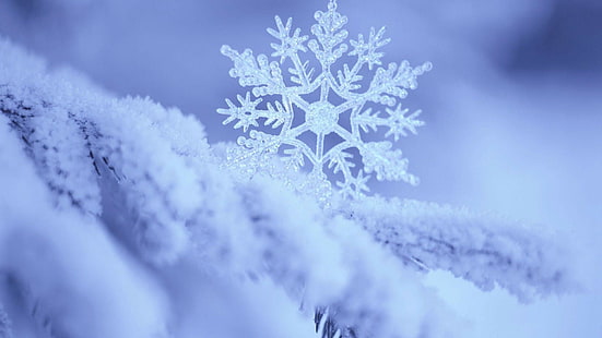 العطل ، 1920x1080 ، الثلج ، الشتاء ، ندفة الثلج ، صورة ندفة الثلج ، صورة ندفة الثلج ، صورة ندفة الثلج ، صور ندفة الثلج، خلفية HD HD wallpaper
