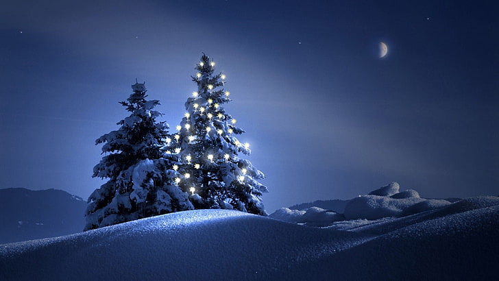 rule of third painting of lighted Christmas tree, Christmas, Christmas Tree, snow, night, winter, HD wallpaper