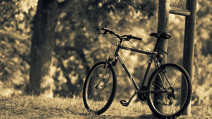 черен и сив хардтейл планински велосипед, велосипед, HD тапет