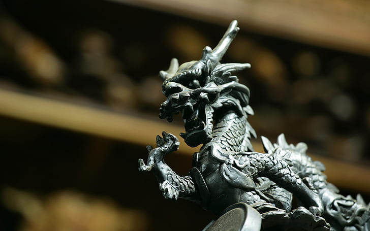 dragão chinês, HD papel de parede