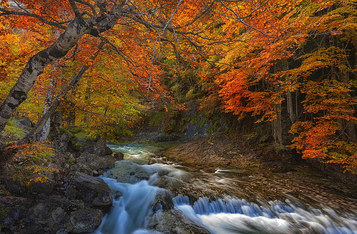 otoño, bosque, paisaje, montañas, naturaleza, río, piedras, los Pirineos, Fondo de pantalla HD