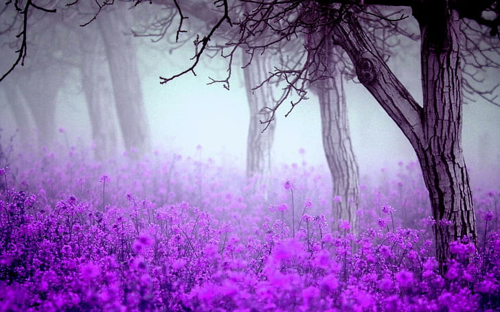 Цветя, дървета, мъгла, природа, цветя, дървета, мъгла, природа, HD тапет