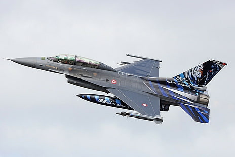 Tureckie Siły Powietrzne, Tureckie Siły Zbrojne, TUAF, General Dynamics F-16 Fighting Falcon, tygrys, turecki, Fighting Falcons, samoloty wojskowe, wojsko, samoloty, Tapety HD HD wallpaper
