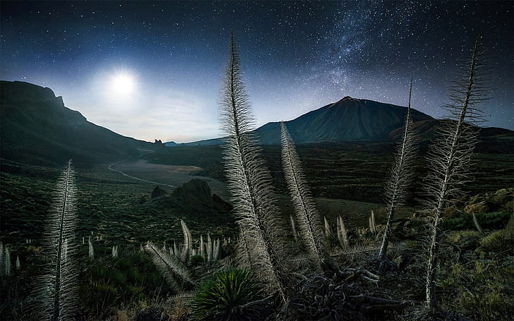 landscape, Milky Way, Max Rive, Spain, starry night, mountains, nature, shrubs, Tenerife, moonlight, HD wallpaper