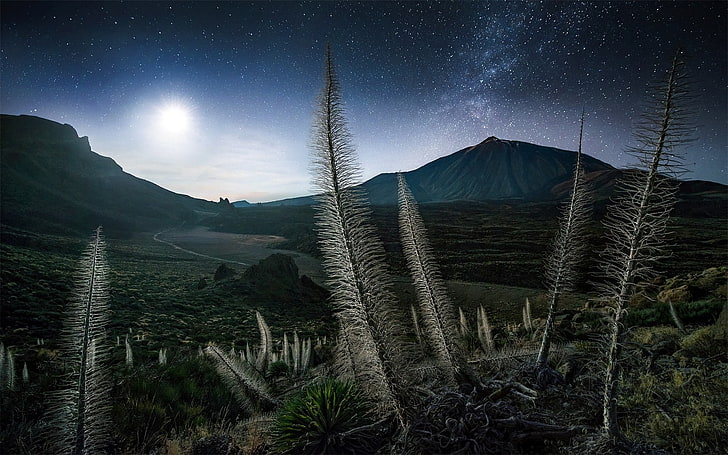 bidang rumput, lanskap, alam, pegunungan, malam berbintang, cahaya bulan, semak, Bima Sakti, Spanyol, Tenerife, Max Rive, Wallpaper HD