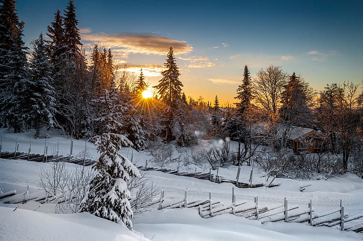 musim dingin, hutan, matahari terbenam, Norwegia, Lillehammer, Wallpaper HD