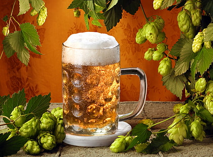 Klarglasbecher, Bier, Becher, Malz, HD-Hintergrundbild HD wallpaper
