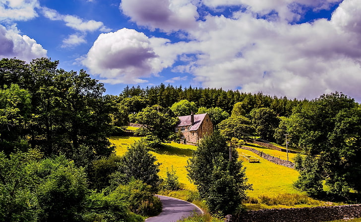 House On A Hillside Landscape, Blue Cloudy ..., pohon berdaun hijau, Nature, Landscape, Wallpaper HD