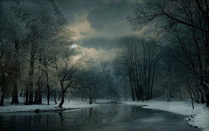 Kahler Baum und Gewässer, Landschaft, Natur, Winter, Fluss, Wolken, Schnee, Wald, Frost, Bäume, Kälte, Nebel, HD-Hintergrundbild