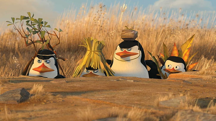 فيلم ، طيور البطريق في مدغشقر، خلفية HD