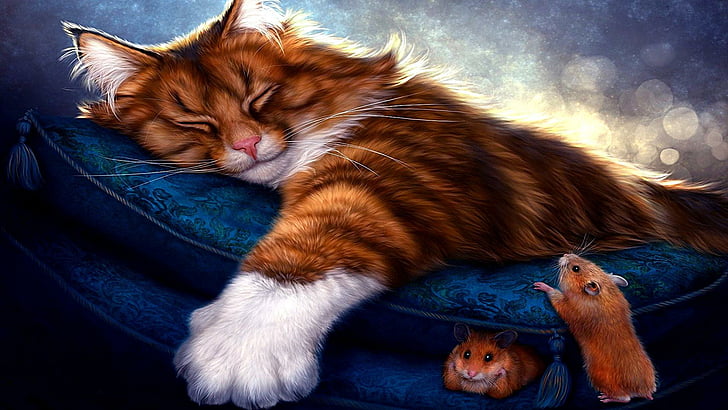 gatta, sonno, topo, topi, gattino, pelliccia, Sfondo HD