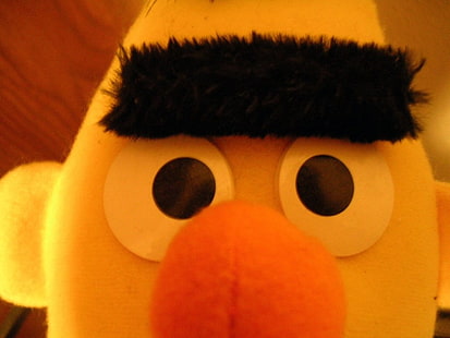 Bert of Sesame Street plush toy, Sesame Street, Bert (Sesame Street), HD wallpaper HD wallpaper