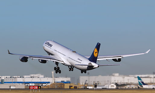 biały samolot komercyjny, samolot, dzień, wzrost, Lufthansa, Airbus, w powietrzu, samolot pasażerski, A340, Tapety HD HD wallpaper