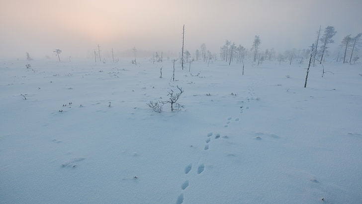 Финландия, зима, пейзаж, HD тапет