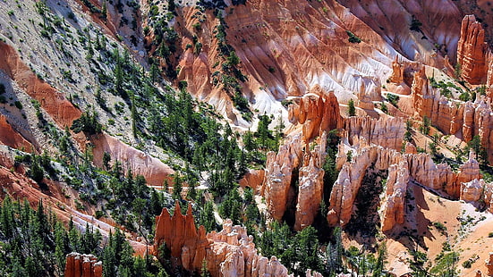 ブライスキャニオン国立公園、ブライスキャニオン、自然、国立公園、風景、ユタ州、アメリカ合衆国、 HDデスクトップの壁紙 HD wallpaper