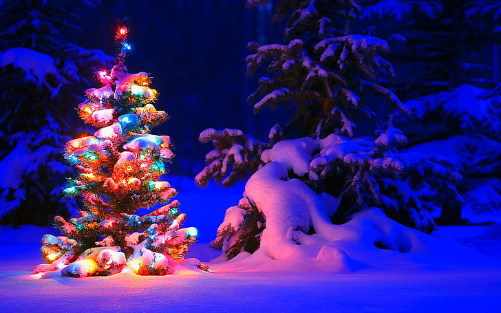 Snowy Christmas Tree Lights, Arbre, Noël, Lumières, Neigeux, Fond d'écran HD