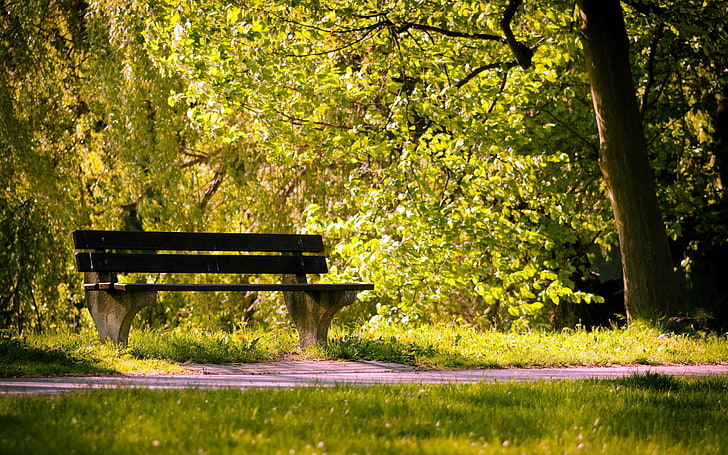коричневая деревянная скамейка, парк, скамейка, лето, HD обои