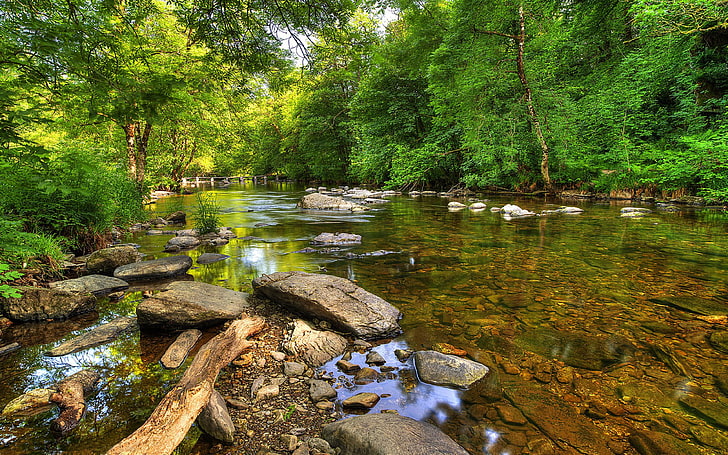 맑은 물 숲 푸른 나무와 바위 Barle Exmoor 국립 공원 영국 강 바위 자갈 다리 바탕 화면 배경 화면 Hd 3840 × 2400, HD 배경 화면