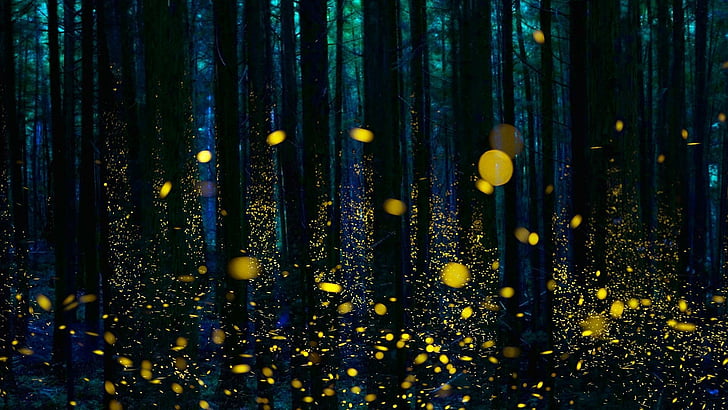 forest, twilight, trees, darkness, fireflies, firefly, HD wallpaper