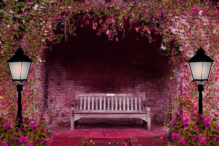 gray wooden bench, flowers, bench, pink, lights, arch, spring garden, HD wallpaper