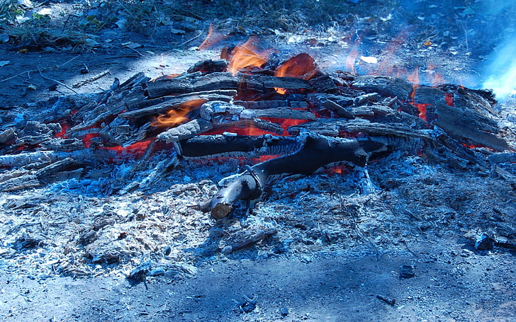 ognisko, ogień, kłoda, przyroda, dym, Tapety HD