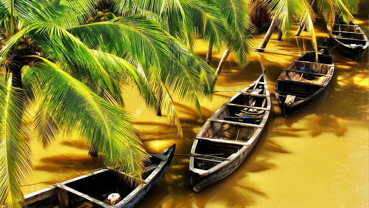 brown canoe boat, nature, water, boat, river, palm trees, India, flood, sunlight, shadow, wood, HD wallpaper