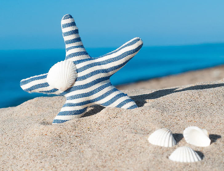 sand, sea, beach, shell, summer, blue, starfish, seashells, HD wallpaper