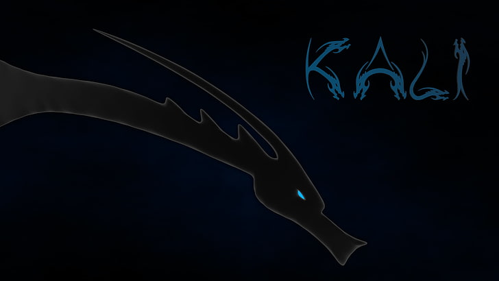 Ilustración del dragón negro, Linux, Kali Linux, Kali Linux NetHunter, Fondo de pantalla HD