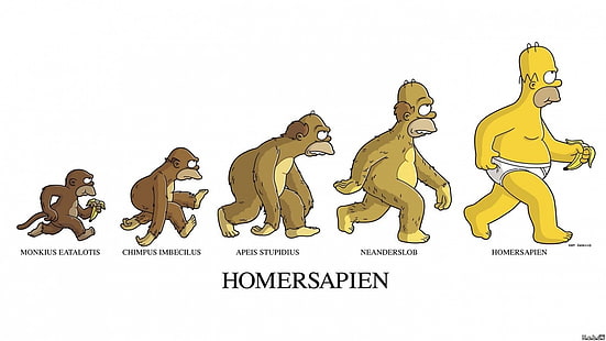 Ilustracja Homersapien, The Simpsons, Homer Simpson, humor, Tapety HD HD wallpaper